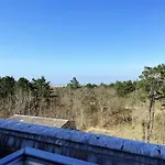 In Bergen Near The Bergen aan Zee