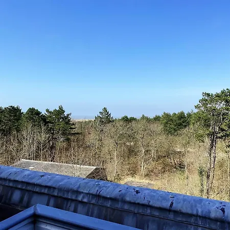 In Bergen Near The 버겐안지