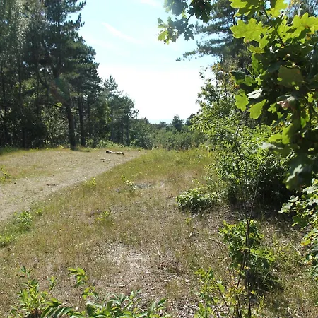 Apartment In Bergen Near The Bergen aan Zee