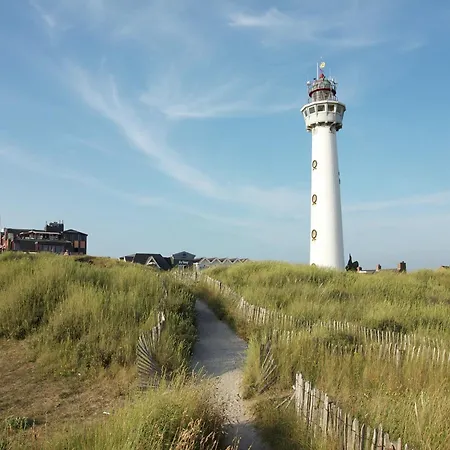 In Bergen Near The Bergen aan Zee