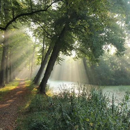 In Bergen Near The *