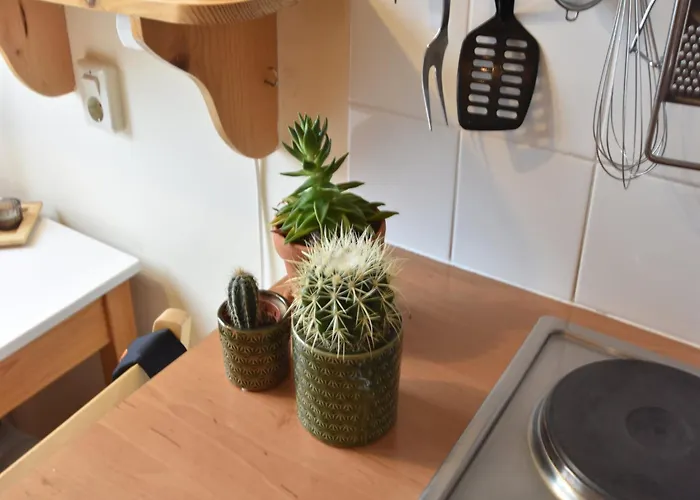 In Bergen Near The *