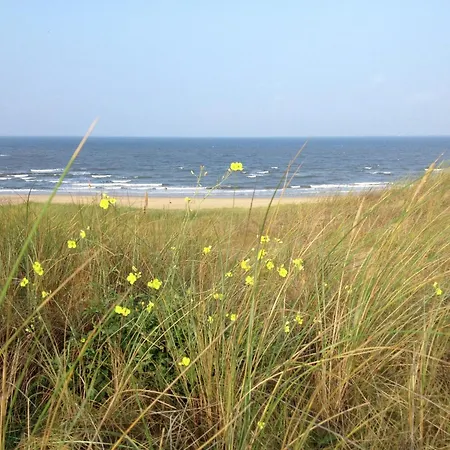 In Bergen Near The *