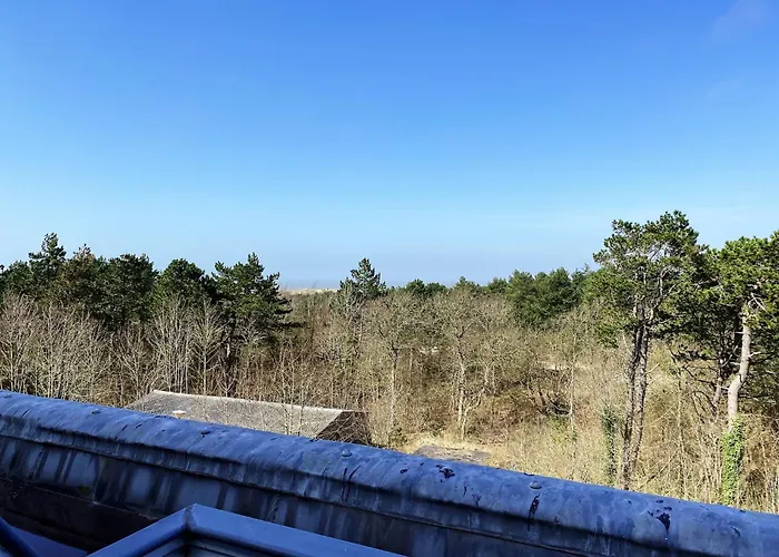 In Bergen Near The Bergen aan Zee