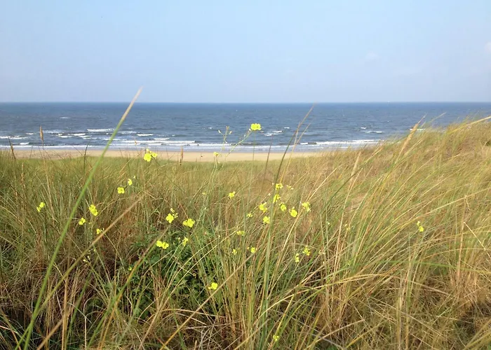 In Bergen Near The *