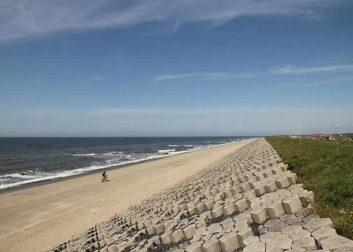 In Bergen Near The * Bergen aan Zee