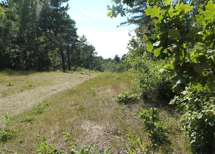 Appartamento In Bergen Near The Bergen aan Zee