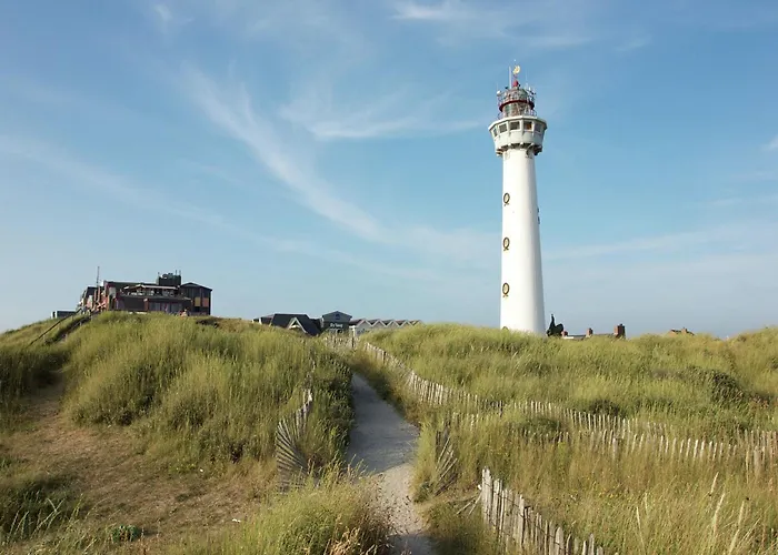 In Bergen Near The Bergen aan Zee