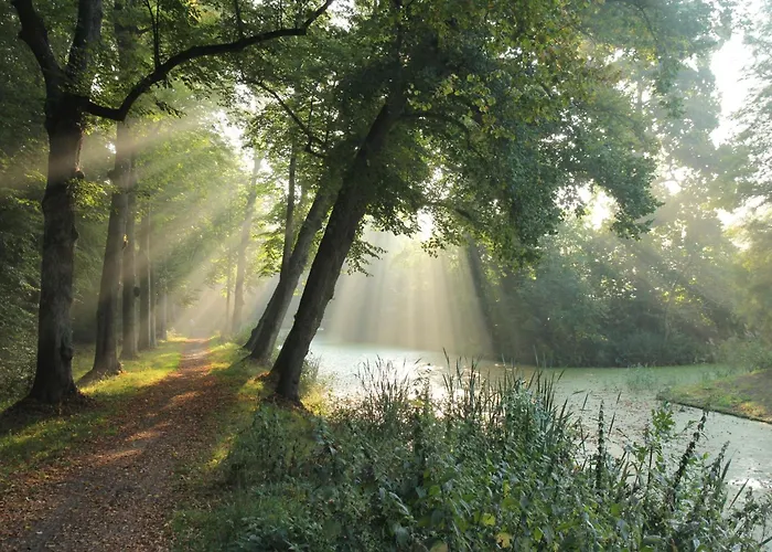 In Bergen Near The *